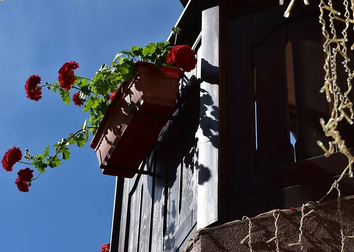 马丁俱乐部酒店 3*