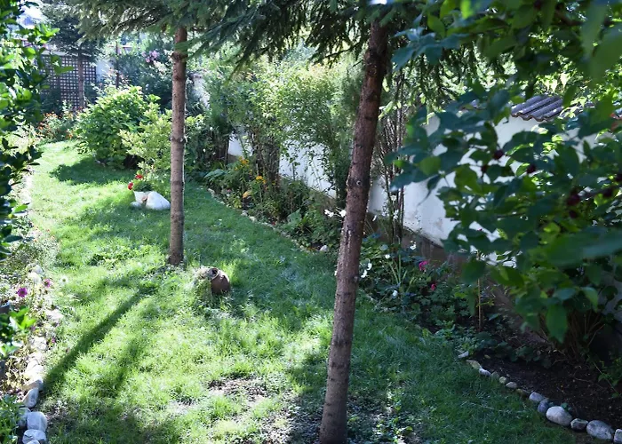 마틴 클럽 반스코