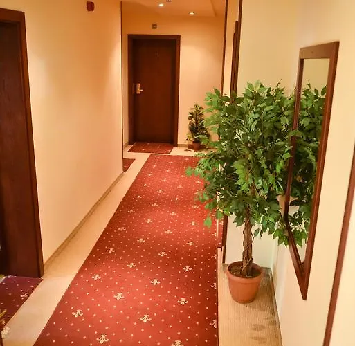 酒店 马丁俱乐部酒店